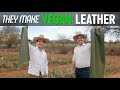 they Make VEGAN leather