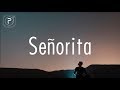 shawn mendes, camila cabello - seã±orita (lyrics)