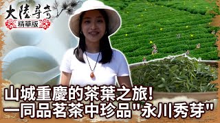 山城重慶的茶葉之旅！ 一同品茗茶中珍品「永川秀芽」【@ctvchinatvEP1923】