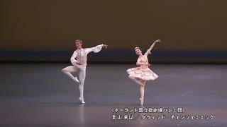 Gala performance at New National Theatre Tokyo / アステラス 2017 フィナーレ