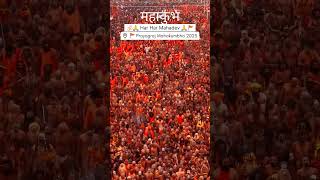 महाकुंभ दर्शन | प्रयागराज महाकुंभ #kumbhmela2025 #mahakumbh2025 #mahakumbh #प्रयागराज