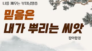 믿음은 내가 뿌리는 씨앗이고 [나를 깨우는 부처님말씀]