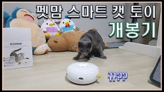 펫맘 스마트 캣 토이 개봉기! 하마의 반응은?ㅣ Russian Blue Hama ㅣ러시안블루ㅣ ロシアンブル ㅣ고양이ㅣ펫맘 smart cat toy