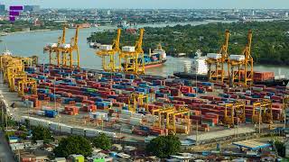 What are the impacts of tariffs on the pulp and paper industry | Fastmarkets