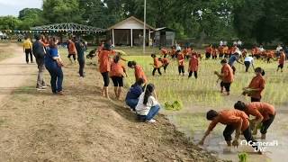 EP 131 :  กิจกรรมรับน้องสร้างสรรค์ สืบสานประเพณีลงแขกดำนา บูชาพระแม่โพสพ ของคณะเกษตรศาสตร์ มข. 2562