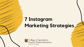7 Instagram Marketing Strategies