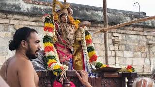 Mannargudi rajagopala swamy temple | mattai adi Utsavam 17-01-2025