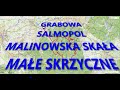 NA E-ROWERZE GÓRKI WIELKIE, BRENNA, GRABOWA, SALMOPOL, SKRZYCZNE, KLIMCZOK, BŁATNIA BRENNA GÓRKI WLK