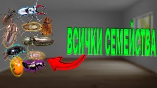 Цялостна филогенеза на бръмбарите: Всички семейства/ Discussions- видео 47