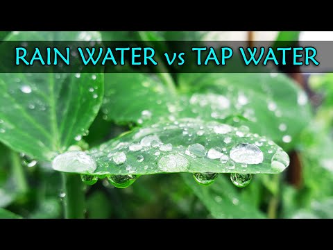 Does rain help soil?