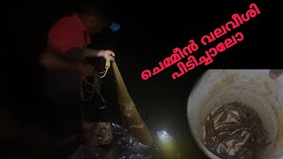 രാത്രിയിൽ വല വീശിയപ്പോൾ ചെമ്മീൻ ചാകര |night net fishing video 💥😯#netfishing #shrimp fishing