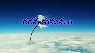 గగన కుసుమం (Flower in the sky)