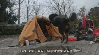 64岁老兵骑行四川，因连续下雨在南充休整，改变路线去内蒙古#蒙古獒【东戈黑黑旅行记】