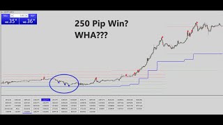 This Amazing Forex System Is A Loser?