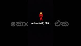 කොහොමද එක ☝☝☝☝😎😎😅