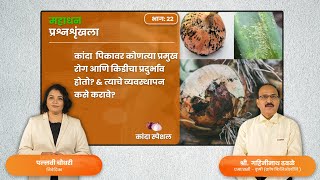 शेतीतज्ञांचा सल्ला: कांदा पिकावरील प्रमुख रोग व कीड व्यवस्थापन | Onion Farming