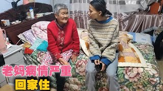 这几天，老妈妈病情有点严重，老王头带尼泊尔媳妇儿又回家住了【爱折腾的老王头】