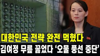 [특종] 대한민국 전략 완전 먹혔다...김여정 드디어 대한민국에 무릎 꿇고 오물 풍선 전면 중단