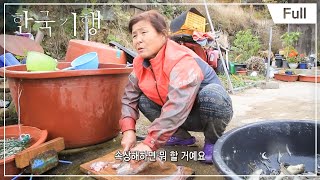 [Full] 한국기행 - 순천만 - 제3부 갯벌의 노래 20141217