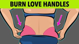 EASY STANDING WORKOUT AT HOME: BURN LOVE HANDLES IN 20 MINUTES | | By @RobertasGym