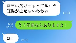 生まれたばかりの娘の泣き声がうるさいと、娘がいる部屋の窓に雪玉を投げてガラスを割った姑→その余裕を装った無知な人に証拠を突きつけた時の反応が面白いw