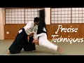 Precise and Fluent Aikido Techniques - Haruki SATO