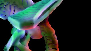 foraging For Diffusion (4K Generative Production)