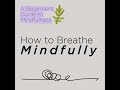 How to Breathe Mindfully | UPMC HealthBeat