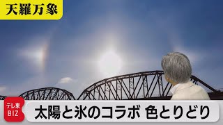 見上げると光の現象が…　太陽と氷のコラボ 色とりどり【久保田解説委員の天羅万象】(83)（2022年6月17日）