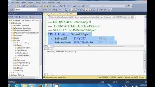 SQL Server In Hindi DataType TinyInt