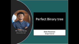 Perfect Binary Tree | Data Structure | Bangla Tutorial