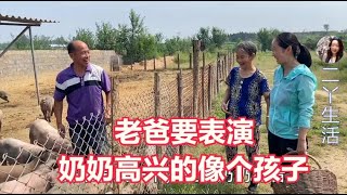 【二丫生活】摘梨去喂散养猪，搞笑老爸要给80岁奶奶表演，奶奶高兴的像个孩子