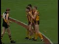 1992 rd 22 hawthorn v richmond