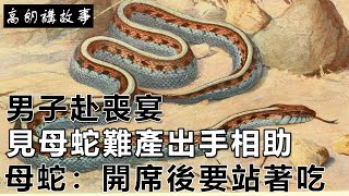 民間故事：男子赴喪宴，見母蛇難產出手相助，母蛇：開席後要站著吃｜高朗講故事