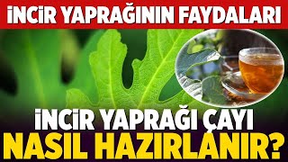 İncir Yaprağının Faydaları Nelerdir? İncir Yaprağı Çayı Nasıl Yapılır?