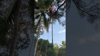 നാം അനുഭവിക്കുന്ന സ്വാതന്ത്ര്യത്തിന് പിന്നാലെ ഒരുപാട് മനുഷ്യരുടെ പോരാട്ടവും ത്യാ​ഗവുമാണ് ഉള്ളത്.