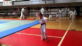 2013 Shidokan Atlanta Karate and Judo Championships