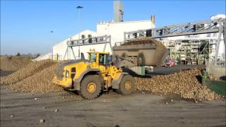 Volvo L220H van loonbedrijf Mechielsen op de suikerfabriek in Hoogkerk