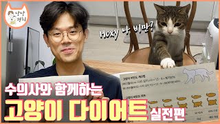 미야옹철이 알려주는 고양이 다이어트법