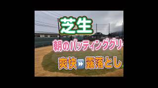 ［爽快動画］冬場のゴルフ場⛳️の朝一のお仕事。露落とし #ゴルフ練習場 #ゴルフ #芝生 #ガーデニング #ベント芝