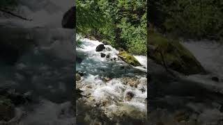 torrent of aqueous dihydrogen monoxide