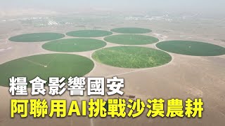 糧食影響國安 阿聯用AI挑戰沙漠農耕 - 糧食危機 - 科技新聞