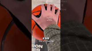 NBA Players Size Comparison - Shaq's Hands are Huge