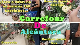 MERCADO CARREFOUR VEIO MUITAS PLANTAS SÁBADO|SUCULENTAS E ROSAS DO DESERTO😃 #plantas #carrefour