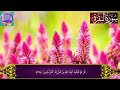 surah al baqarah full beautifull quran recitation by sheikh mishary afasy سورة البقرة ep 243