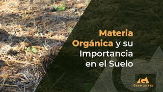 Materia Orgánica y su Importancia en el Suelo