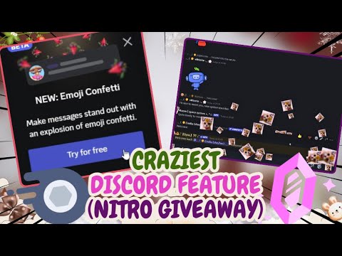 Free Nitro Giveaway in my server | New Discord Feature