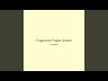 Fragments Fragile Golden