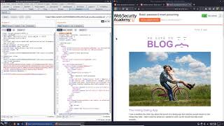Basic password reset poisoning (Video solution, Audio)