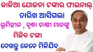 ଆସିଗଲା ଫାଇନାଲ୍ ତାରିଖ ଭୂମିହୀନ ମାନଙ୍କୁ ମିଳିବ ଟଙ୍କା || Kalia Yojana money